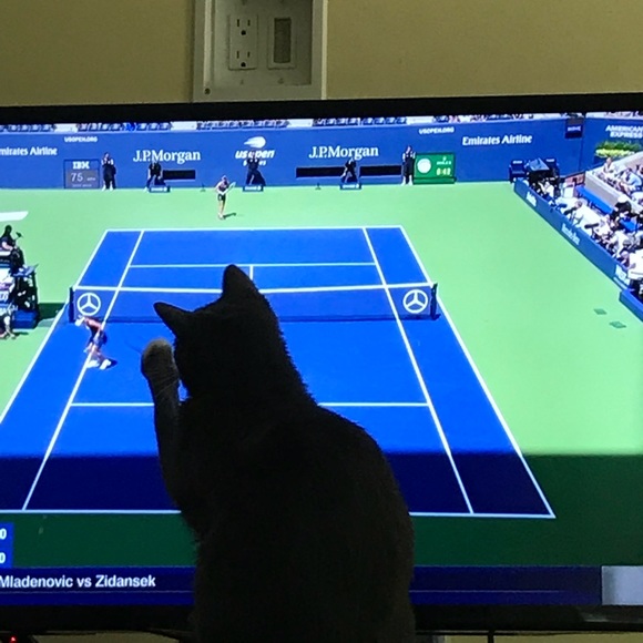 Meet your Posher, Robin - Picture 8 of 8